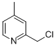 2-CHLOROMETHYL-4-METHYLPYRIDINE CAS#: 38198-16-2