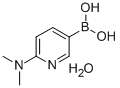 2-(Dimethylamino)pyridine-5-boronic acid hydrate CAS#: 579525-46-5
