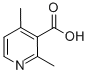 2,4-DIMETHYL-3-PYRIDINECARBOXYLIC ACID CAS#: 55314-30-2