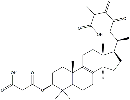 24(31)-Dehydrocarboxyacetylquercinic acid CAS#: 127970-62-1