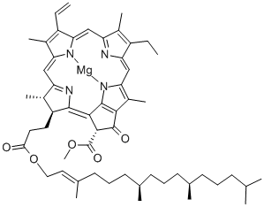 CHLOROPHYLLE A CAS #: 479-61-8