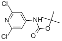 Carbamic acid, (2,6-dichloro-4-pyridinyl)-, 1,1-dimethylethyl ester (9CI) CAS#: 501907-61-5