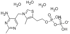 Cocarboxylase tetrahydrate CAS#: 68684-55-9