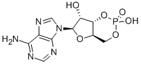 순환 AMP CAS#: 60-92-4