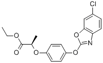 FENOXAPROP-P-ETHYL CAS #: 66441-23-4