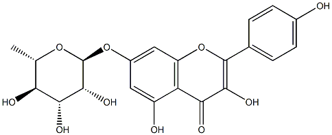 KaeMpferol 7-O-rhaMnoside CAS#: 20196-89-8