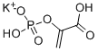 PHOSPHOENOLPYRUVIC-ACID-MONOPOTASSIUM-SALT-CAS-4265-07-0