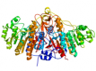 Estructura de fosfatasa alcalina CAS 9001-78-9