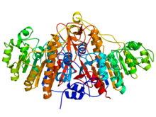 מבנה של פוספטאז אלקליין CAS 9001-78-9