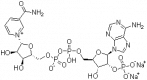 Estructura de la sal disódica NADP CAS 24292-60-2