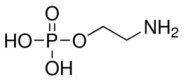 Structure of O-Phosphorylethanolamine CAS 1071-23-4