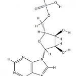 Estructura de la sal de potasio del ácido poliadenosínico CAS 26763-19-9