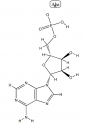 Structure of Polyadenosinic acid potassium salt CAS 26763-19-9