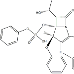 重组蛋白酶K EC 3.4.21.14 CAS 39450-01-6的结构