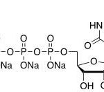 Structure of Uridine-5'-triphosphate Sodium Salt CAS 1175-34-4