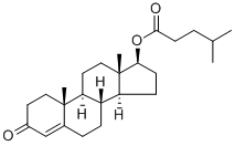 Isocaproato de testosterona CAS #: 15262-86-9