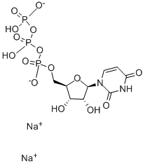 URIDIN-13C9, 15N2-5 TRIPHOSPHATE SODI U CAS-Nr .: 285978-18-9