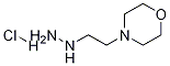 1-(2-Morpholinoethyl)hydrazine hydrochloride CAS#: 2154-23-6