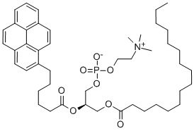 1-HEXADECANOYL-2-(1-PYRENEHEXANOYL)-SN-GLYCERO-3-PHOSPHOCHOLINE CAS#: 103625-33-8