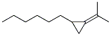 1-Hexyl-2-(1-methylethylidene)cyclopropane CAS#: 24524-53-6