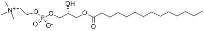 1-MYRISTOYL-SN-GLYCERO-3-PHOSPHOCHOLINE CAS#: 20559-16-4