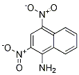 1-NaphthalenaMine, 2,4-dinitro- CAS#: 13029-24-8