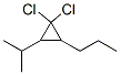 1,1-Dichloro-2-propyl-3-isopropylcyclopropane CAS#: 24551-88-0