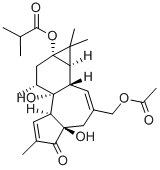 12-DEOXYPHORBOL 13-ISOBUTYRATE 20-ACETATE CAS#: 25090-71-5