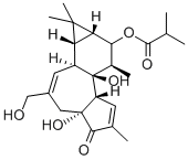 12-DEOXYPHORBOL 13-イソ酪酸CAS#:25090-74-8