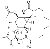 12-O-acetylphorbol-13-decanoate CAS#: 20839-15-0