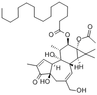 12-O-hexadecanoylphorbol-13-acetate CAS#: 20839-12-7