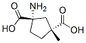 1,3-Cyclopentanedicarboxylicacid,1-amino-3-methyl-,(1S,3R)-(9CI) CAS#: 207983-50-4