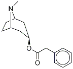 3α-Phenylacetoxy Tropane CAS#: 1690-22-8
