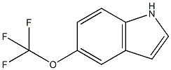 1H-INDOLE, 5-(TRIFLUOROMETHOXY)- CAS#: 262593-63-5