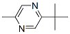 2-(1,1-Dimethylethyl)-5-methylpyrazine CAS#: 24541-72-8