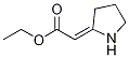 2-(2-pyrrolidinylidene)-Acetic acid ethyl ester CAS#: 25219-53-8