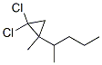 2-(2,2-Dichloro-1-methylcyclopropyl)pentane CAS#: 24551-82-4