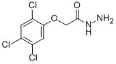 2-(2,4,5-TRICHLOROPHENOXY)ACETOHYDRAZIDE CAS#: 2381-77-3