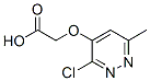 2-(3-chloro-6-methyl-pyridazin-4-yl)oxyacetic acid CAS#: 22390-55-2