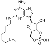 2-(6-AMINOHEXYL) AMINOADENOSINE-3',5'-CYCLIC MONOPHOSPHATE CAS#: 214276-80-9