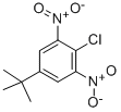 2-Chloro-5-(1,1-dimethylethyl)-1,3-dinitrobenzene CAS#: 2213-81-2