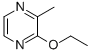 2-ETHOXY-3-METHYLPYRAZINE CAS#: 20920-83-6