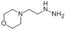 (2-MORPHOLIN-4-YL-ETHYL)-HYDRAZINE CAS#: 2154-24-7