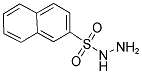 2-NAPHTHYLSULFONYLHYDRAZIDE CAS#: 10151-46-9