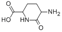 2-Piperidinecarboxylicacid,5-amino-6-oxo-(9CI) CAS#: 247112-91-0