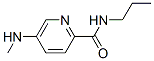 2-Pyridinecarboxamide, 5-(methylamino)-N-propyl- CAS#: 204973-08-0