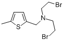 2-Thiophenemethanamine, N,N-bis(2-bromoethyl)-5-methyl- CAS#: 26112-93-6
