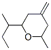 2-butyltetrahydro-6-methyl-4-methylene-2H-pyran CAS#: 24237-02-3