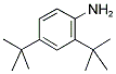2,4-DI-TERT-BUTYLANILINE CAS#: 2909-84-4