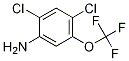 2,4-DICHLORO-5-(TRIFLUOROMETHOXY)ANILINE CAS#: 1598-42-1